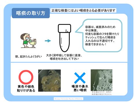 痰培養 採取方法 吸引 看護|喀痰検査 